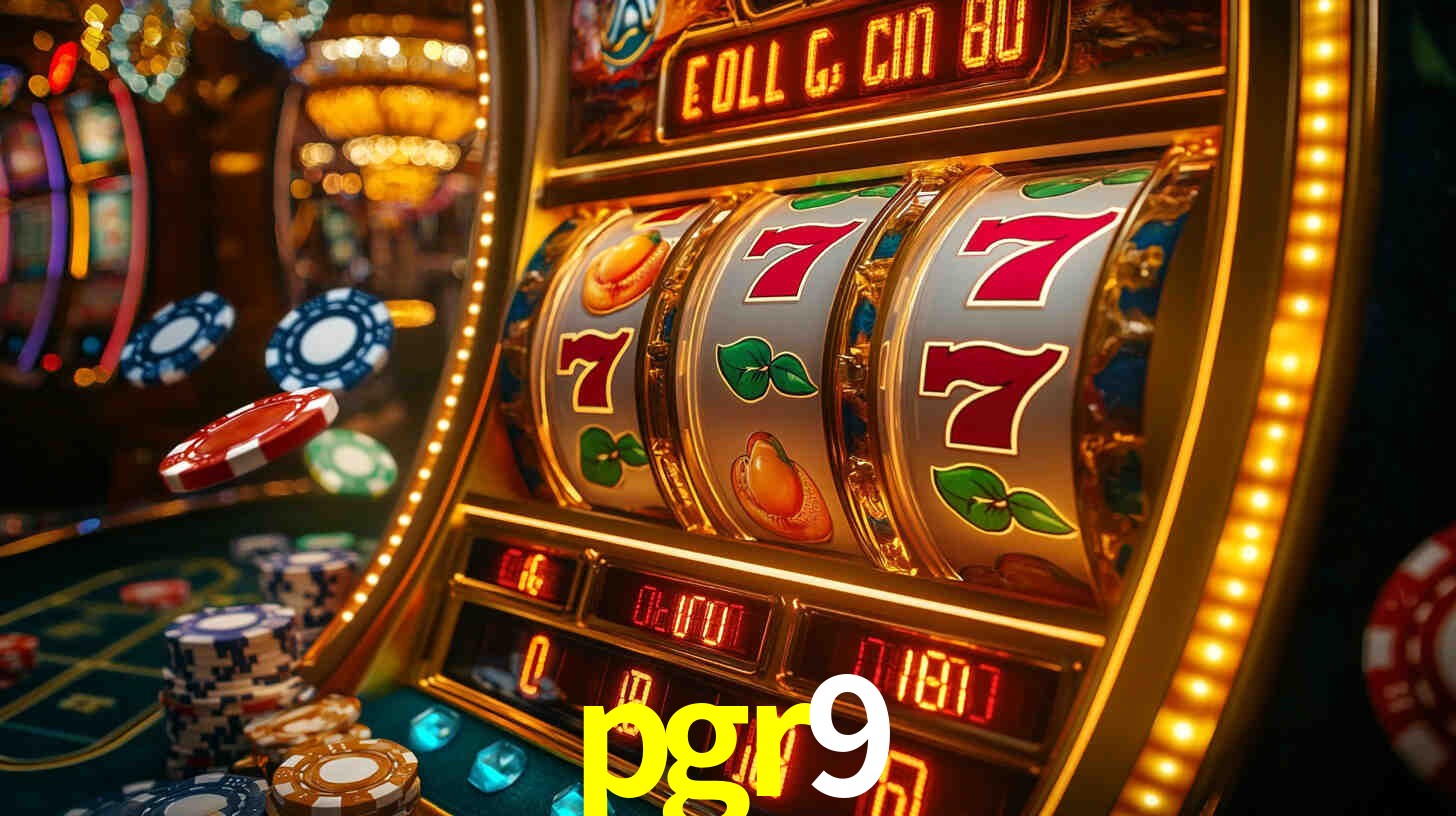 Premium Interface pgr9