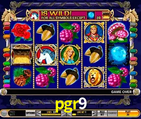 VIP Casino pgr9